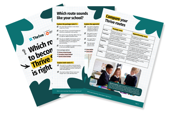 Package or apprenticeship? Choosing the right route to becoming a Thrive School